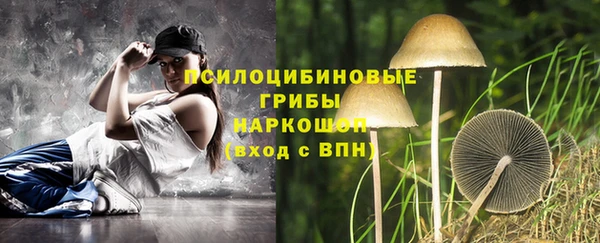 стафф Алексеевка