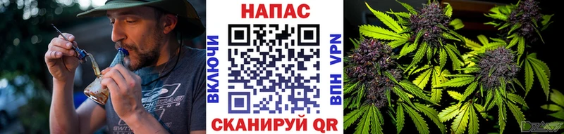 как найти закладки маркетплейс клад Шишки марихуана планчик Игарка